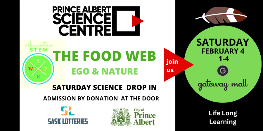 The food web, ego and nature